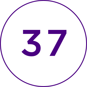 37 villas in total